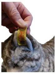 Vorschaubild 2 von Kuscheltier Katze Grau gestreift Plüschtier Stofftier Knopf im Ohr