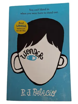 Buch für Jugendliche