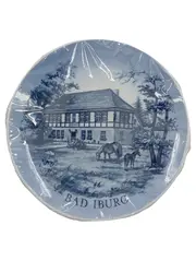 Vorschaubild 1 von Sammelteller Bad Iburg Jagdschloss Freudenthal Porzellan 18cm