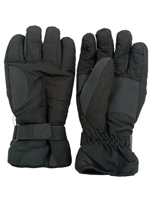 Skihandschuhe