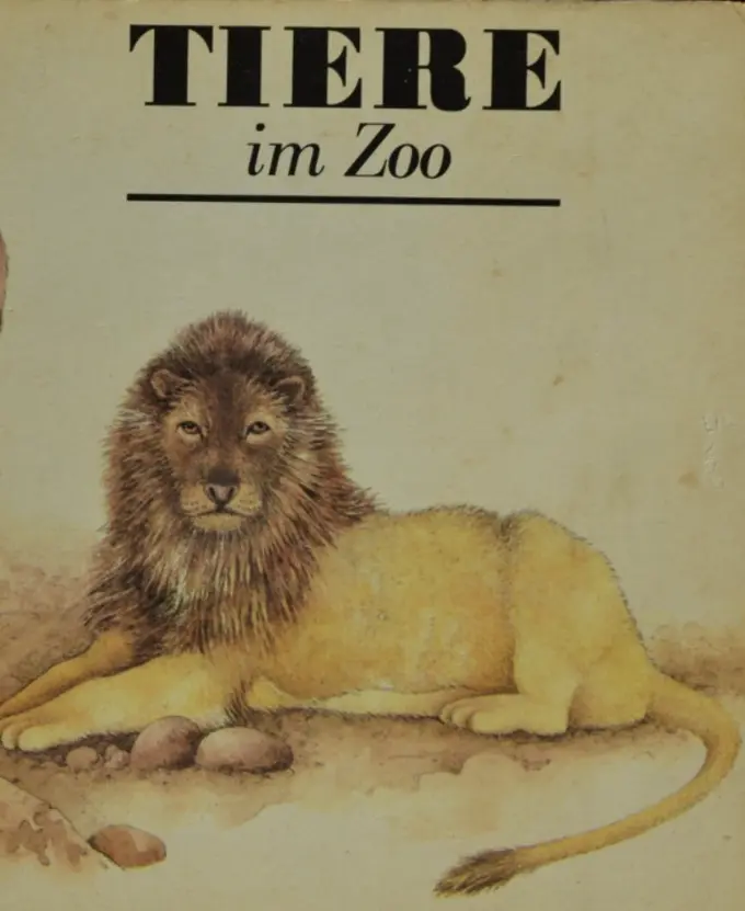 Allgemeines Sachbuch Bild 1
