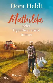 Vorschaubild Gesellschaftsroman 1