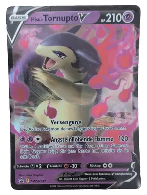 POKÉMON Fan Sammlerstück