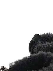 Vorschaubild 3 von Damen Stiefeletten Gr. 40 Schwarz Wildleder Fell Reißverschluss