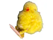 Vorschaubild 1 von Küken Kuscheltier Plüschtier Gelb Charmant Motiv Enten & Kücken 4cm