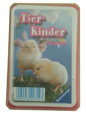 RAVENSBURGER Kartenspiel