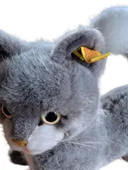 Vorschaubild 2 von Katze Britisch Kurzhaar 2736/25 grau Stofftier Kuscheltier