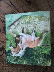 Vorschaubild 2 von Aktenmappe Kinder Grün Groß Papier 32x28 cm