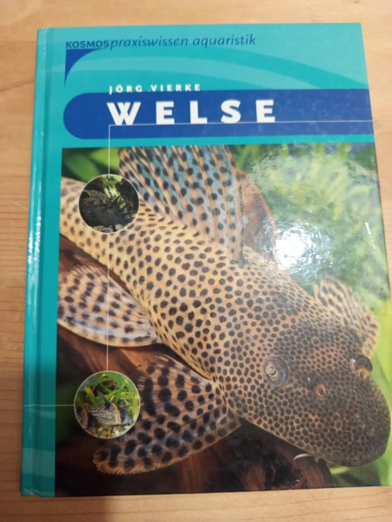 Welse Jörg Vierke Ratgeber Aquaristik Haltung Pflege Hardcover