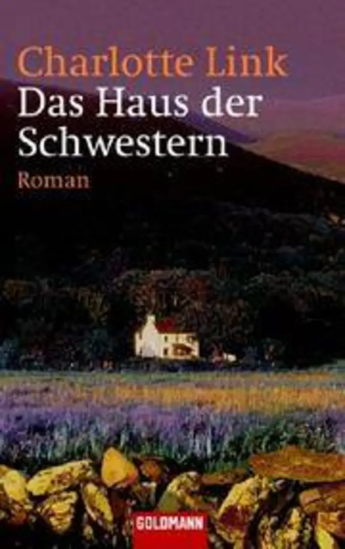 Gesellschaftsroman Bild 1