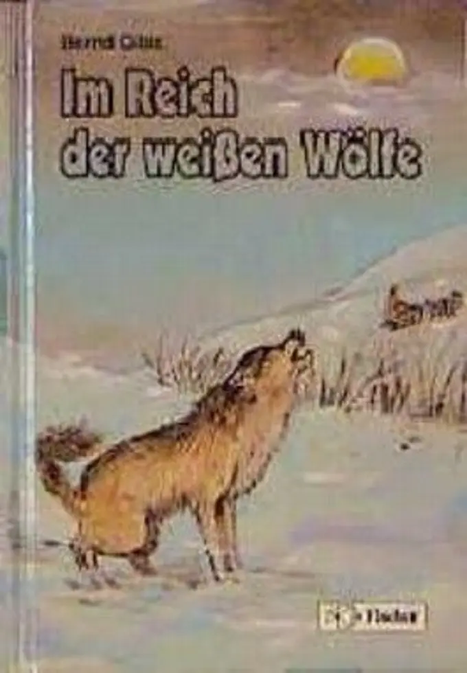 Abenteuerroman Bild 1
