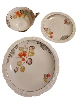 BAVARIA Tasse und Unterteller