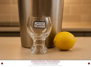 BOHEMIA CRYSTALEX Schnapsglas