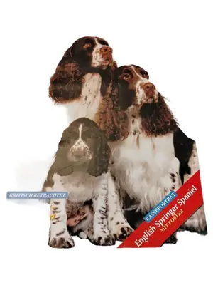 HUNDE REVUE Zeitschrift