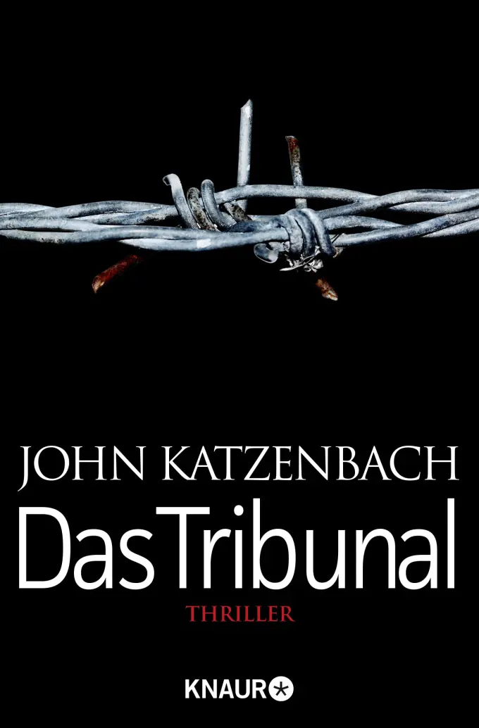 Thrillerbuch Bild 1