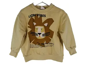 ZARA Sweatshirt