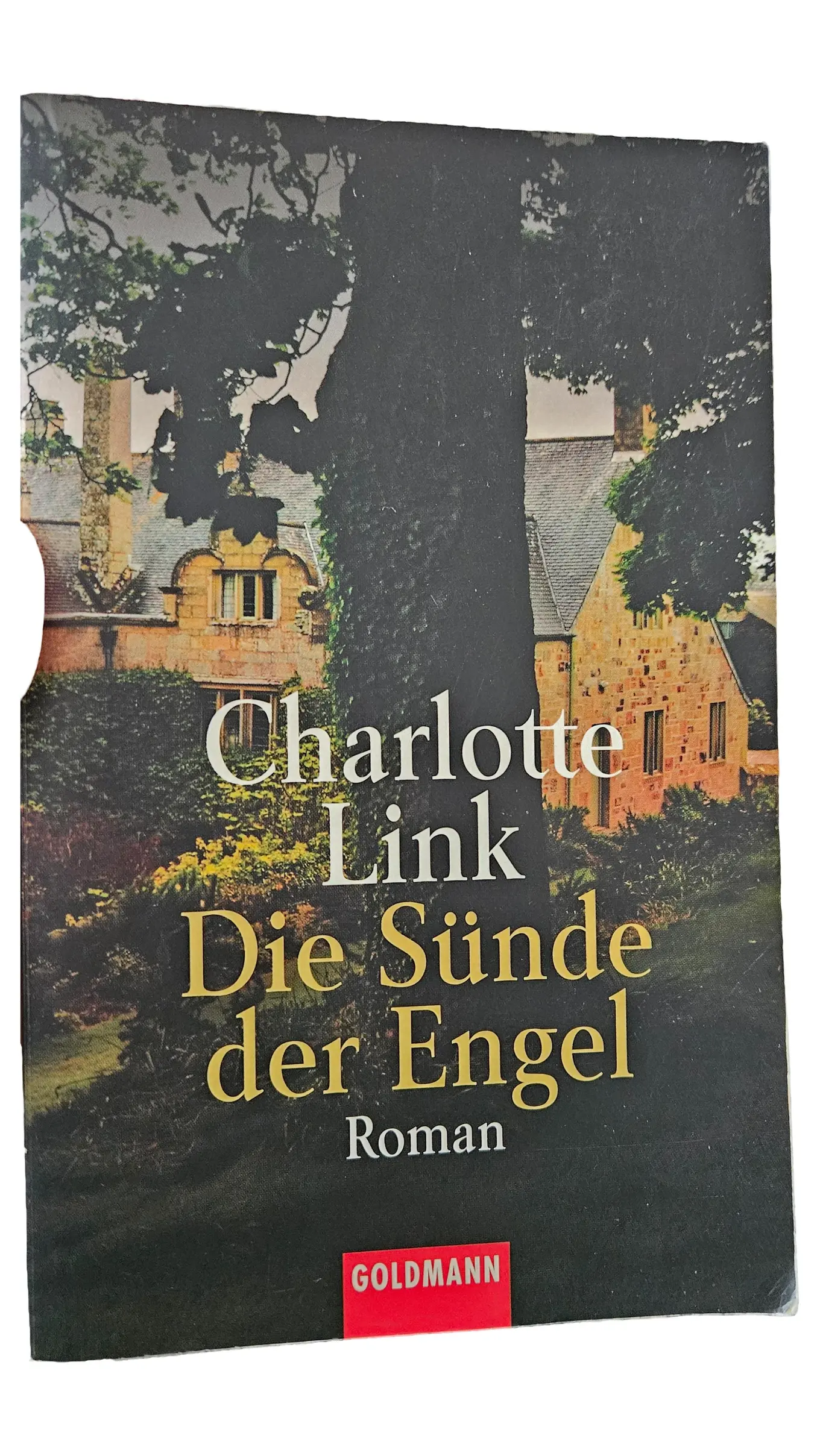 Charlotte Link Die Sünde der Engel Roman Taschenbuch Bestseller Goldmann