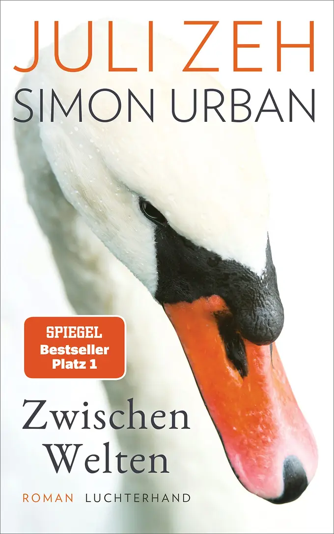 Gesellschaftsroman Bild 1