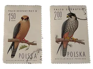POCZTA POLSKA Briefmarke