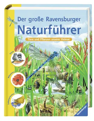 Sachbuch für Kinder