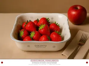 COLDITZ PORZELLAN Servierschüssel