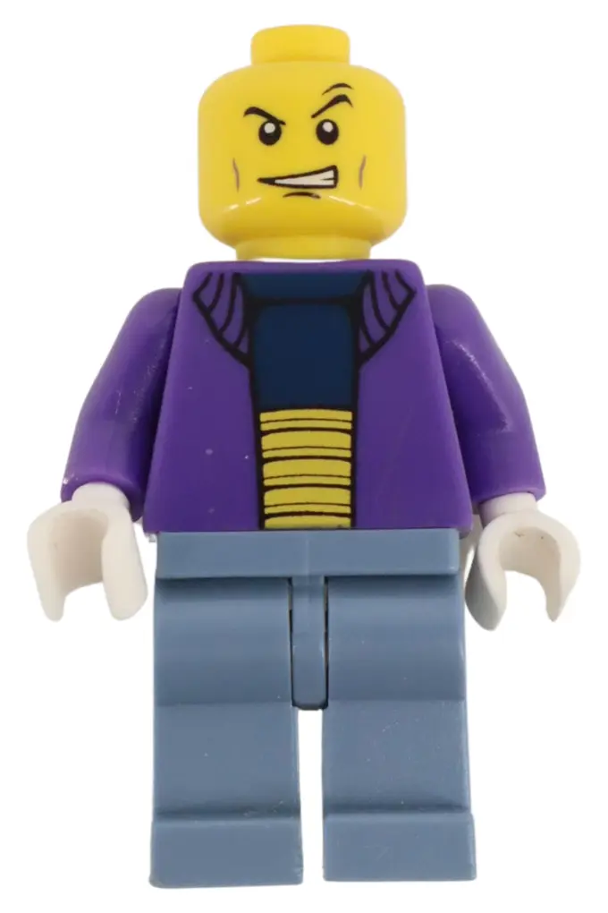 LEGO LEGO Spielfiguren-Set Bild 1