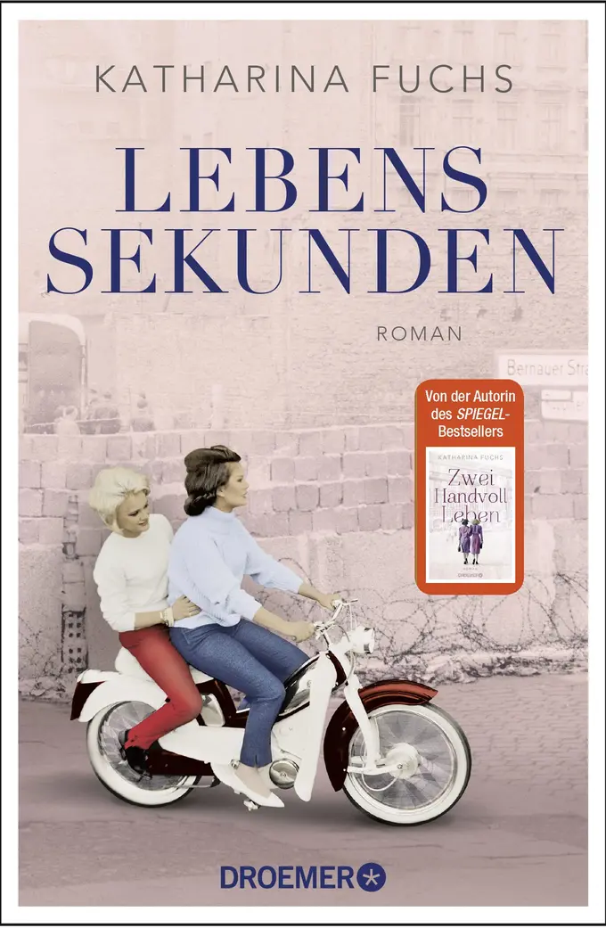 Gesellschaftsroman Bild 1