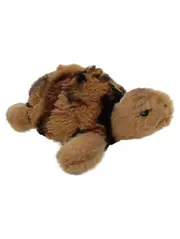Vorschaubild 1 von Schildkröte Baby Kuscheltier 068416 Braun Plüschtier