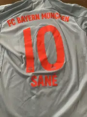Vorschaubild 2 von FC Bayern München Trikot #10 Sané Herren Grau Gr. M 2020/21