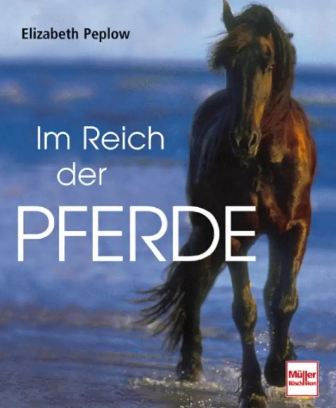 Allgemeines Sachbuch Bild 1