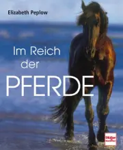 Vorschaubild Allgemeines Sachbuch 1