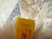 Vorschaubild 3 von Kuscheltier Hund Beige Klassisch 28cm Plüschtier Stofftier