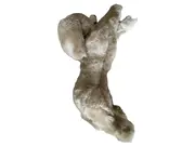 Vorschaubild 1 von Kuscheltier Hund Beige Klassisch 28cm Plüschtier Stofftier