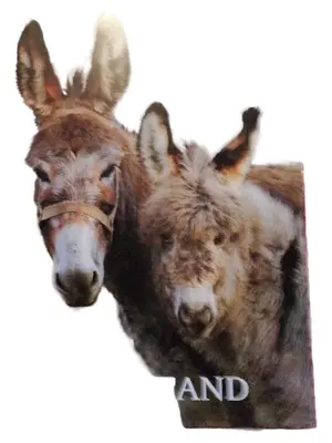 LANDLUST Zeitschrift