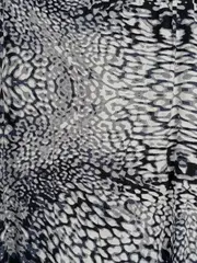 Vorschaubild 2 von Damen Faltenrock Gr. 40 Animal Print Midirock Mehrfarbig Freizeit