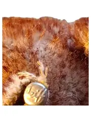Vorschaubild 3 von Eichhörnchen Plüschtier 10cm Kuscheltier