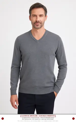 THE-BASICS Pullover