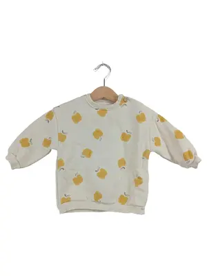 ZARA Pullover