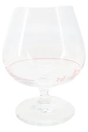 ZWIESEL Cognacglas