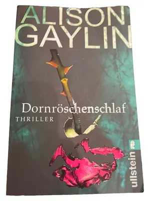Thrillerbuch