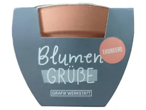 GRAFIK WERKSTATT Übertopf