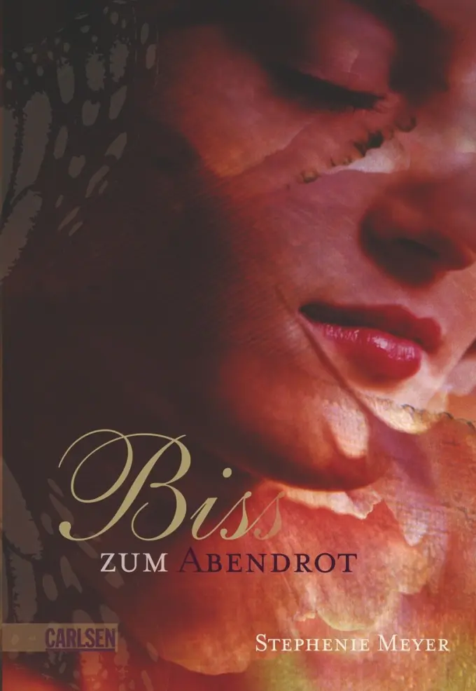 Liebesroman Bild 1