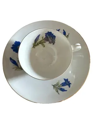 PLANKENHAMMER FLOSS Tasse und Unterteller