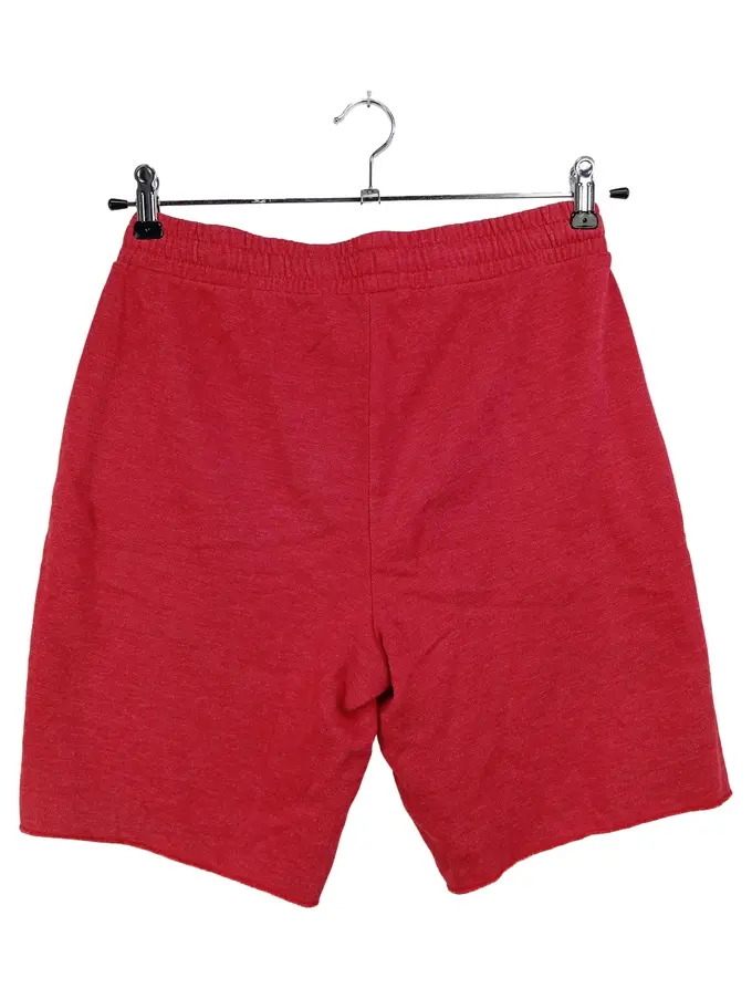 HOLLISTER Shorts Bild 2