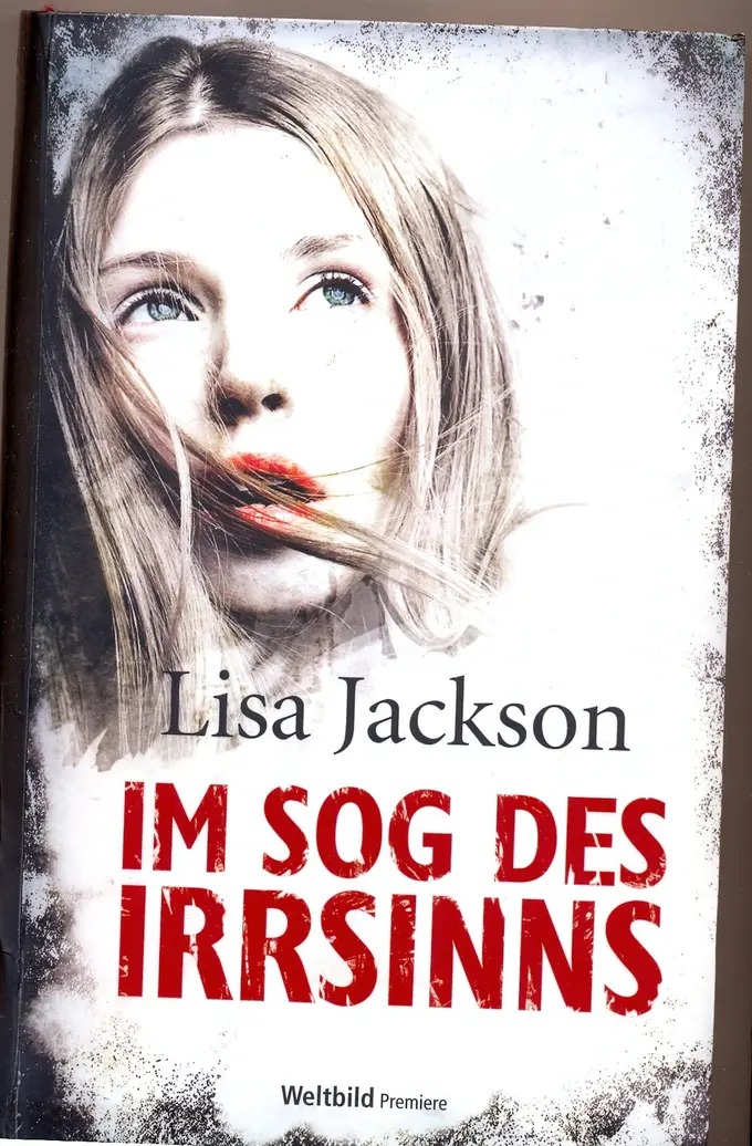 Thrillerbuch Bild 1