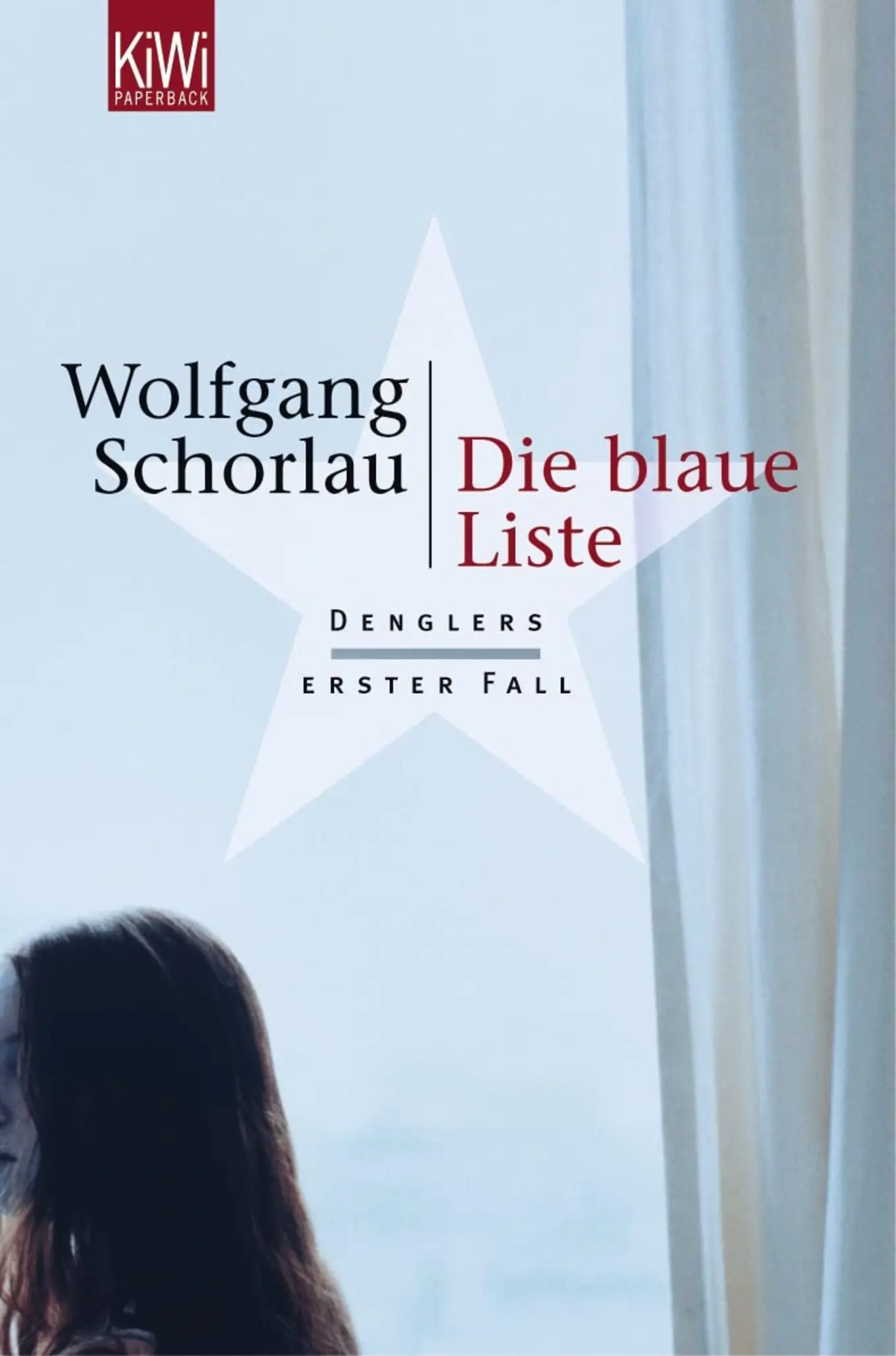 Die blaue Liste von Wolfgang Schorlau Politthriller Taschenbuch deutsch Dengler