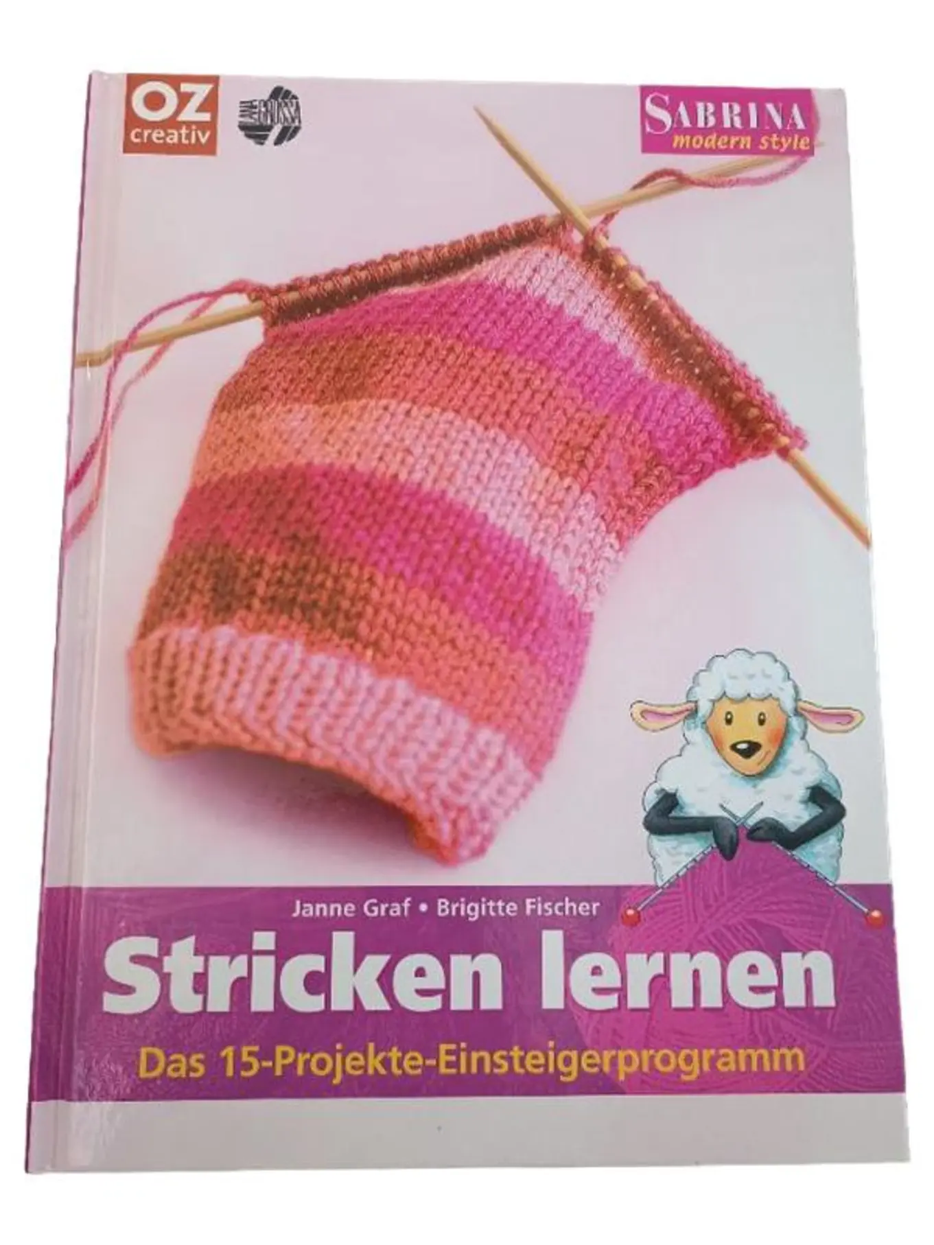 Stricken lernen Buch Anleitung Einsteiger 15 Projekte Janne Graf Brigitte