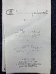 Vorschaubild CHAMPION Kapuzenpullover 4