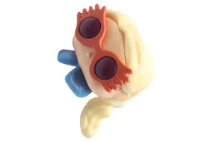 FUNKO Fan Sammlerstück