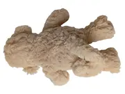 Vorschaubild 2 von Baby Kuscheltier Affe Beige 19cm Klassisch Kuschelig Plüschtier